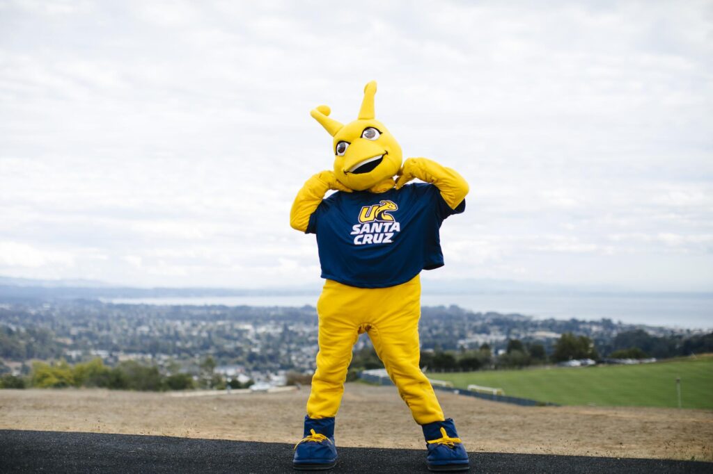 Our Mascot Sammy the Banana Slug UC Santa Cruz