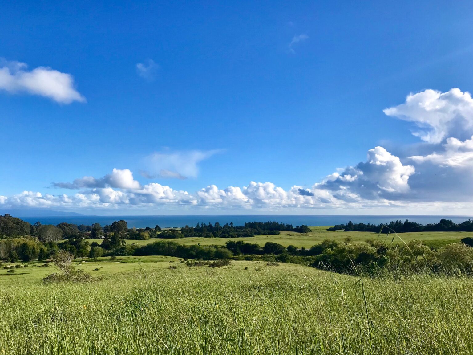 Visit UCSC – UC Santa Cruz