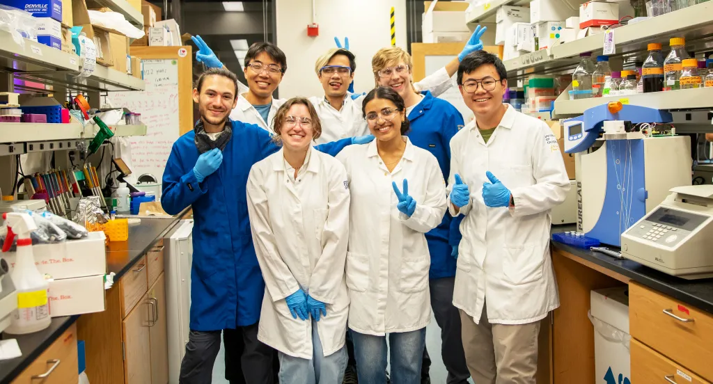 Students in the iGEM lab (photo by Carolyn Lagatutta)