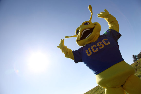 Banana slug officially named UCSC’s mascot