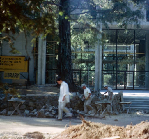 University Library opens