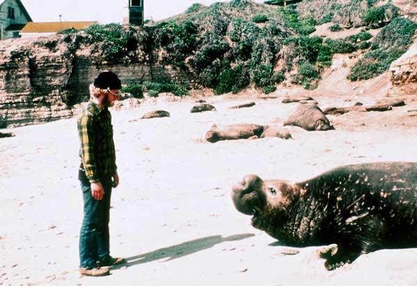 Understanding elephant seals