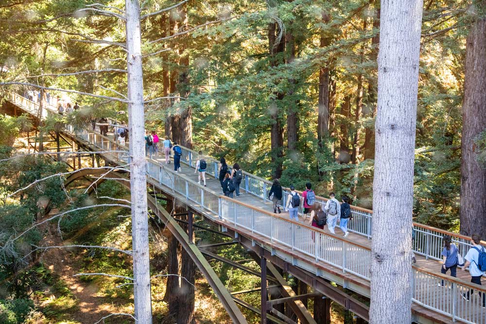 Students walking over Kresge's bridge