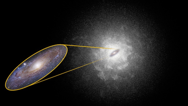 The stellar halo is illustrated here with exaggerated brightness and density to show how far it extends. In reality, the full stellar halo is too dim and sparse to examine without painstaking hours of observation time on the sharpest resolution telescopes available. When the Nancy Grace Roman Space Telescope launches, it will be able to use its wide field of view to comprehensively image many more stellar halos of more distant galaxies. (Credit: NASA, Ralf Crawford/STScI)