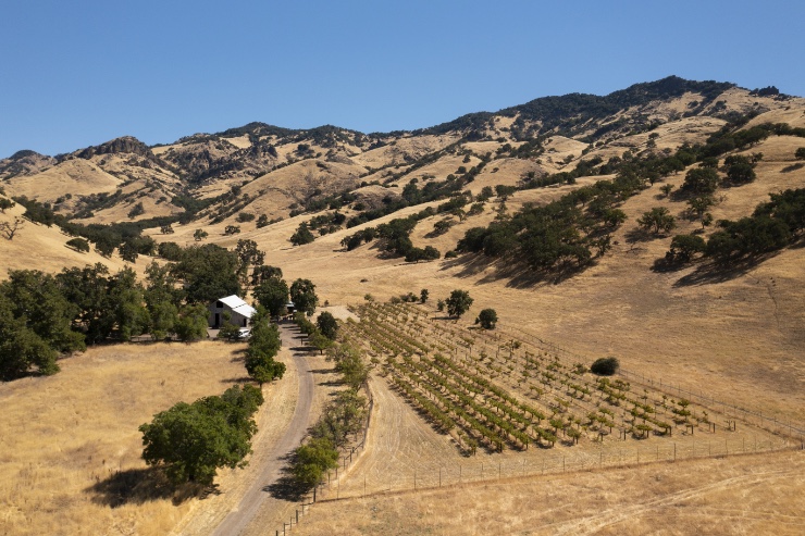 The 2,400-acre oak-studded grassland property in San Benito County, which has served as a cattle ranch for most of the last 100 years, becomes the 42nd reserve within the University of California’s Natural Reserve System (NRS) and the seventh UC Santa Cruz reserve.