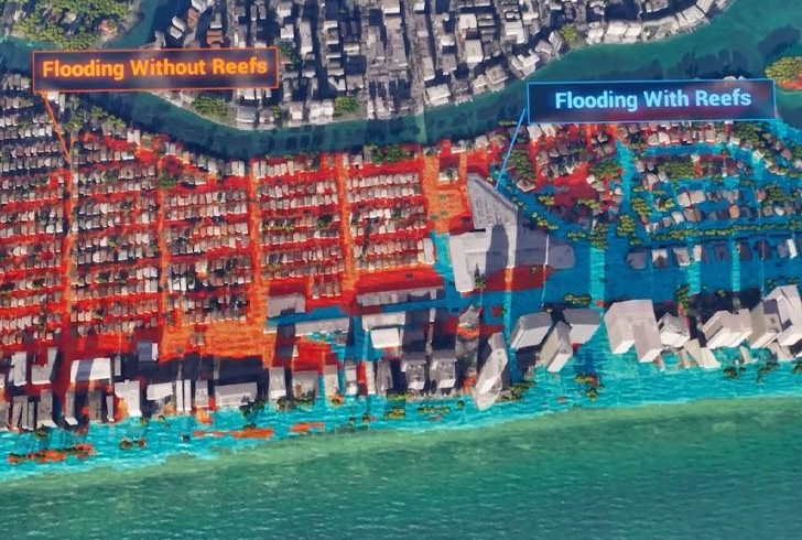 Visualization showing the flood-protection benefits provided by coral reefs in Miami Beach, Fla., by the UC Santa Cruz Center for Coastal Climate Resilience. (Credit: 3D visualization by Ian Costello and Jessica Kendall-Bar. Hydrodynamic modeling by Camila Gaido-Lasserre and Borja Gonzalez Reguero)